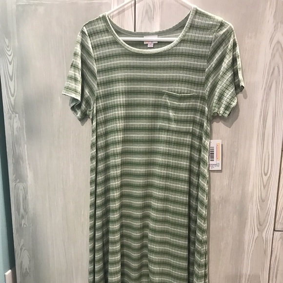NWT Lularoe Carly Medium Green & White Stripe - Picture 1 of 5